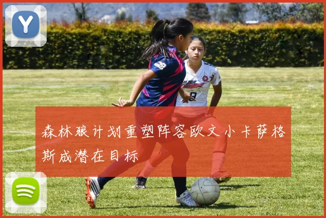 森林狼计划重塑阵容欧文小卡萨格斯成潜在目标